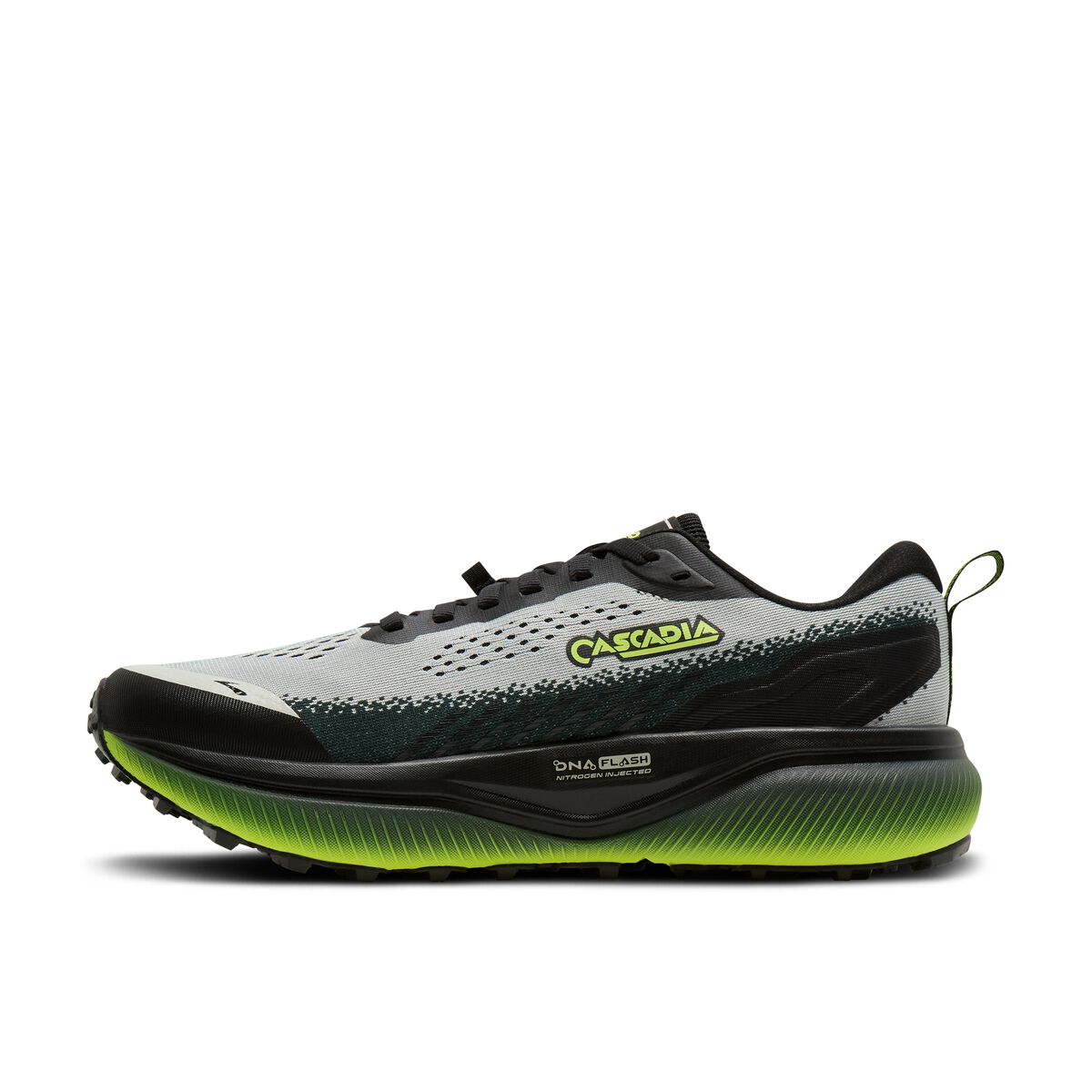 Cascadia 20 - Image 5